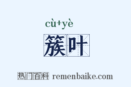簇叶是什么意思的图片